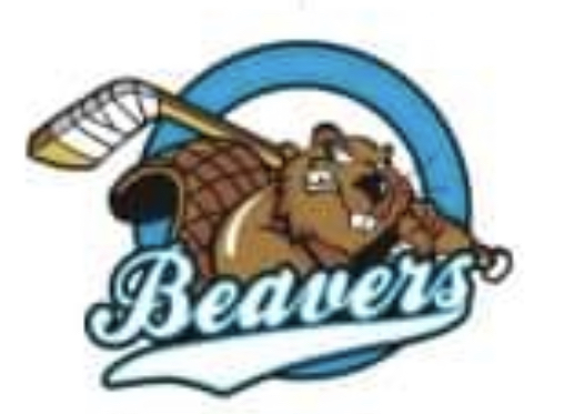 Beavers Summer 2024/25 Season Fees