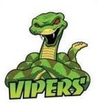 Vipers Summer 2024/25 Season Fees