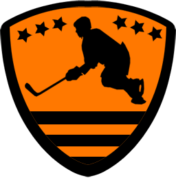 Summer League Hockey Fees